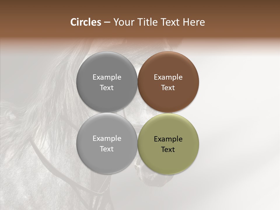 Stallion Active Horse PowerPoint Template