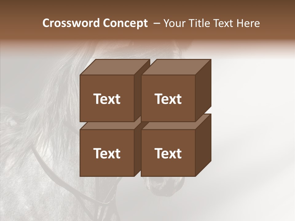 Stallion Active Horse PowerPoint Template