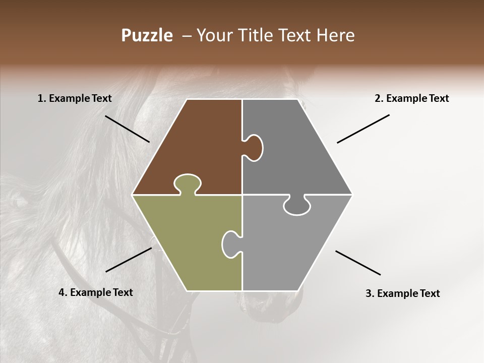 Stallion Active Horse PowerPoint Template
