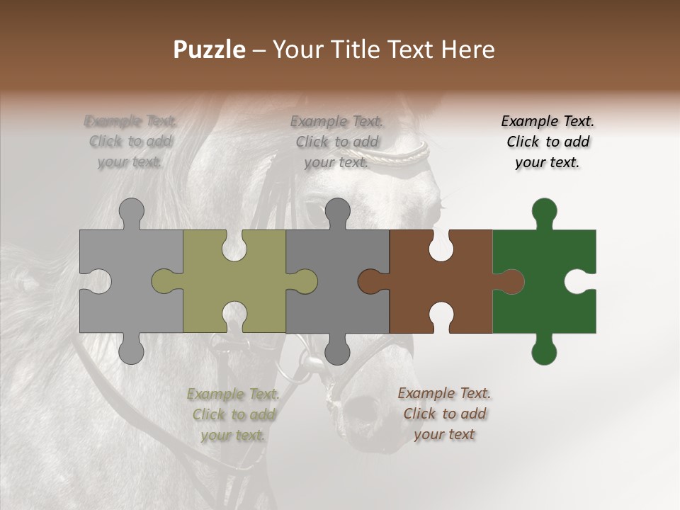 Stallion Active Horse PowerPoint Template