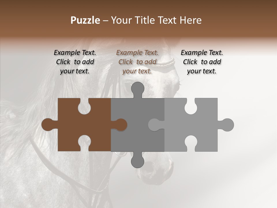 Stallion Active Horse PowerPoint Template