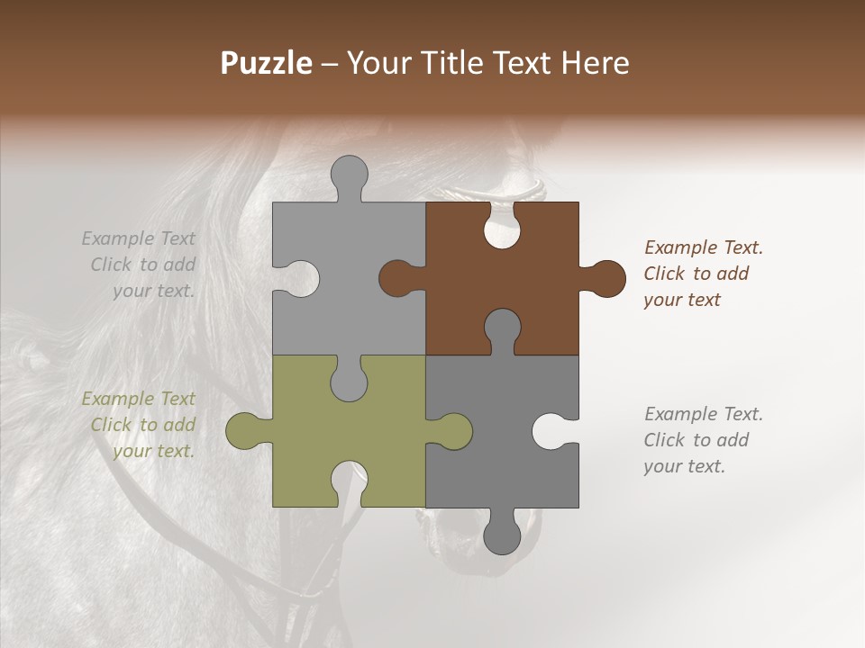 Stallion Active Horse PowerPoint Template