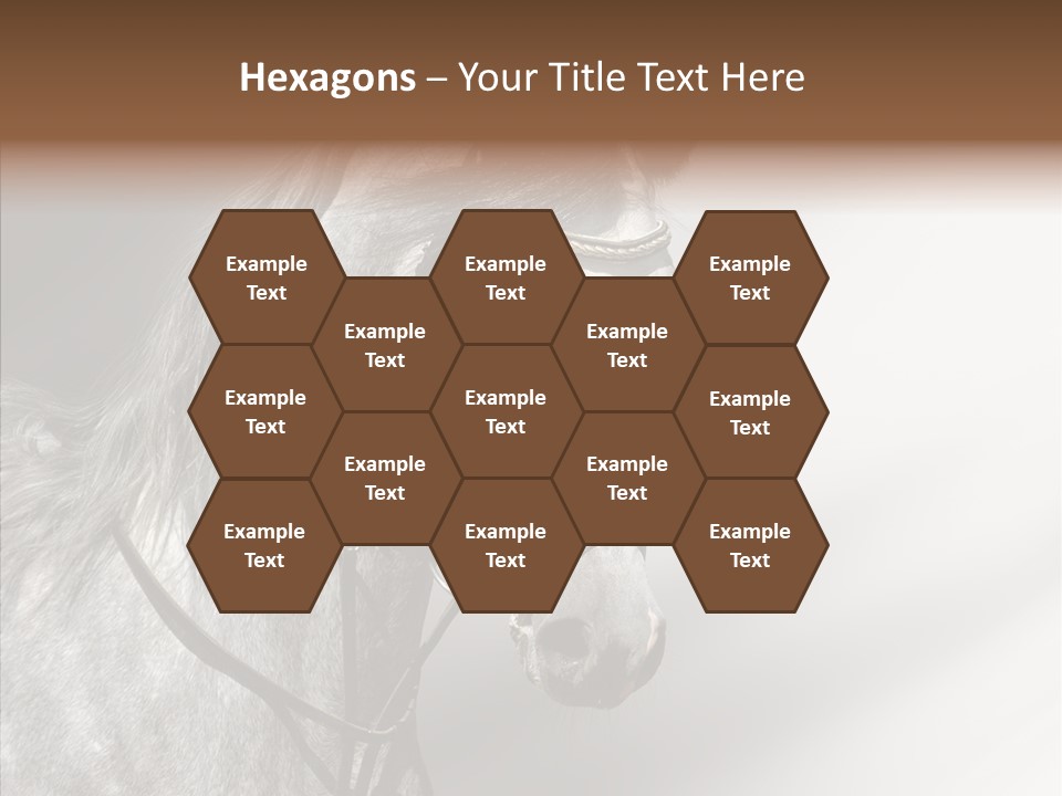 Stallion Active Horse PowerPoint Template