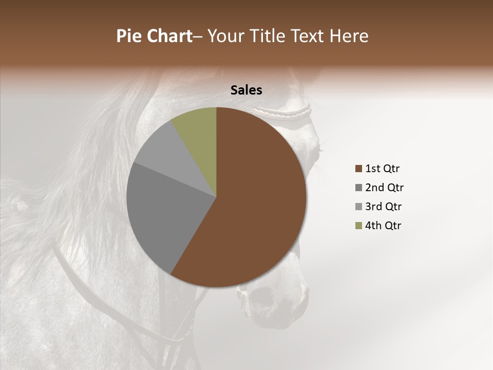 Stallion Active Horse PowerPoint Template