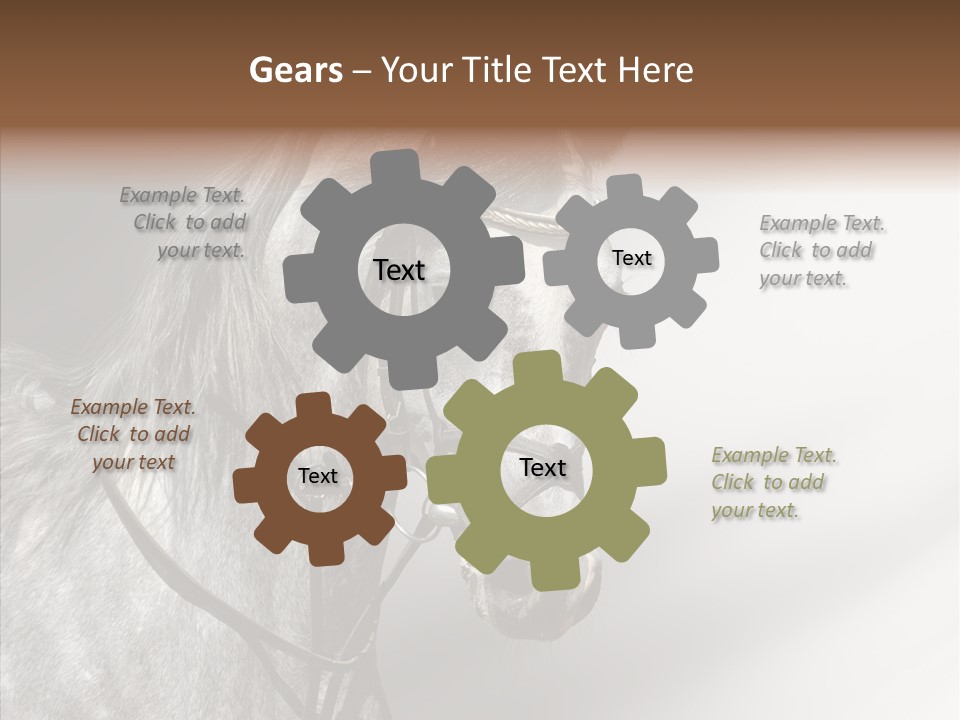 Stallion Active Horse PowerPoint Template