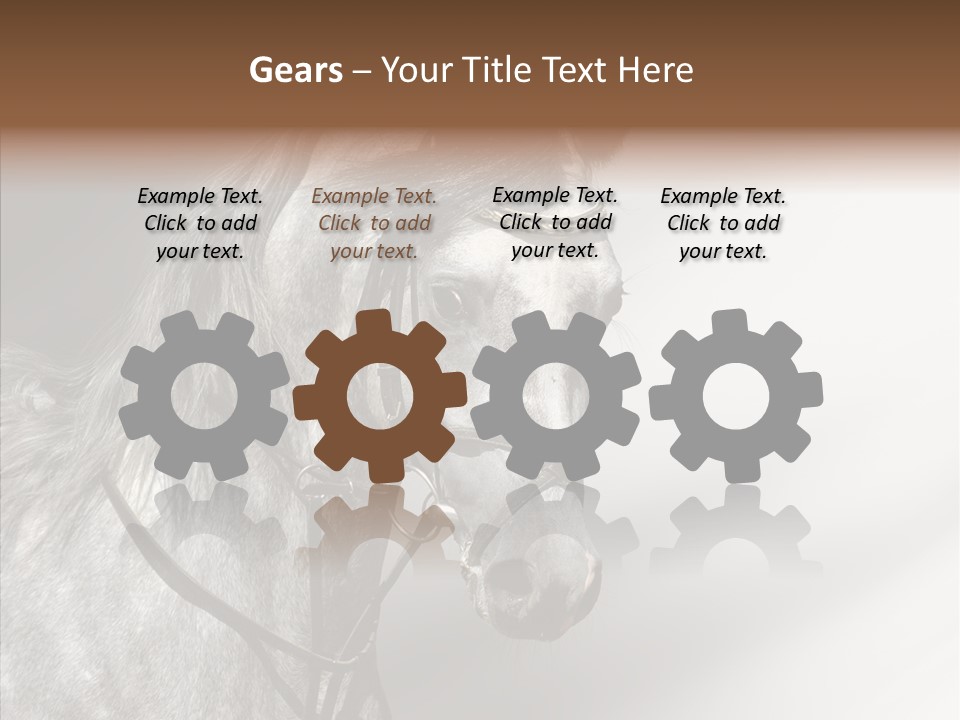 Stallion Active Horse PowerPoint Template