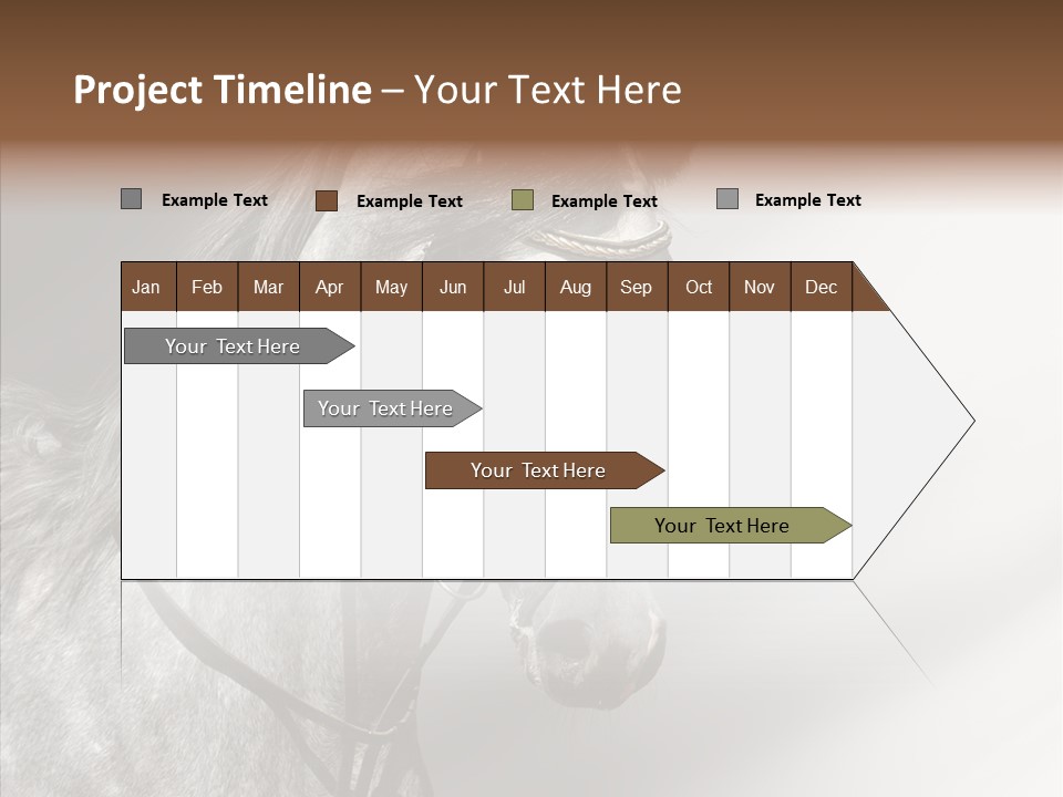 Stallion Active Horse PowerPoint Template
