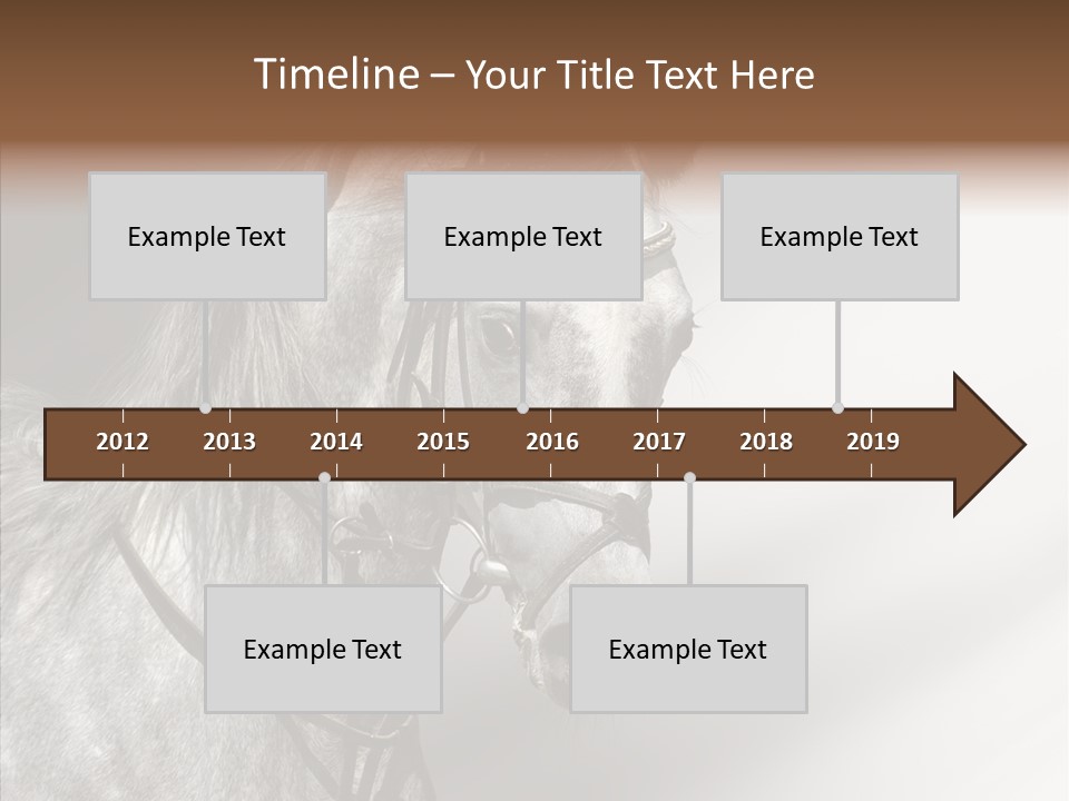 Stallion Active Horse PowerPoint Template