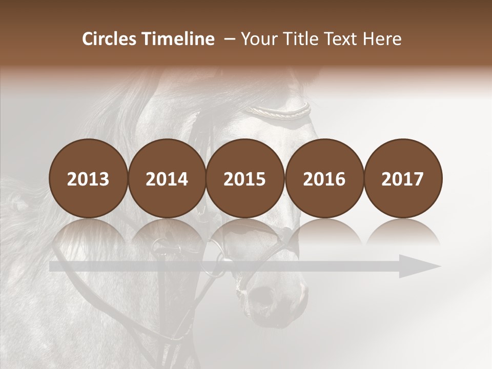 Stallion Active Horse PowerPoint Template