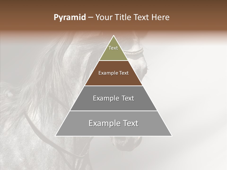 Stallion Active Horse PowerPoint Template