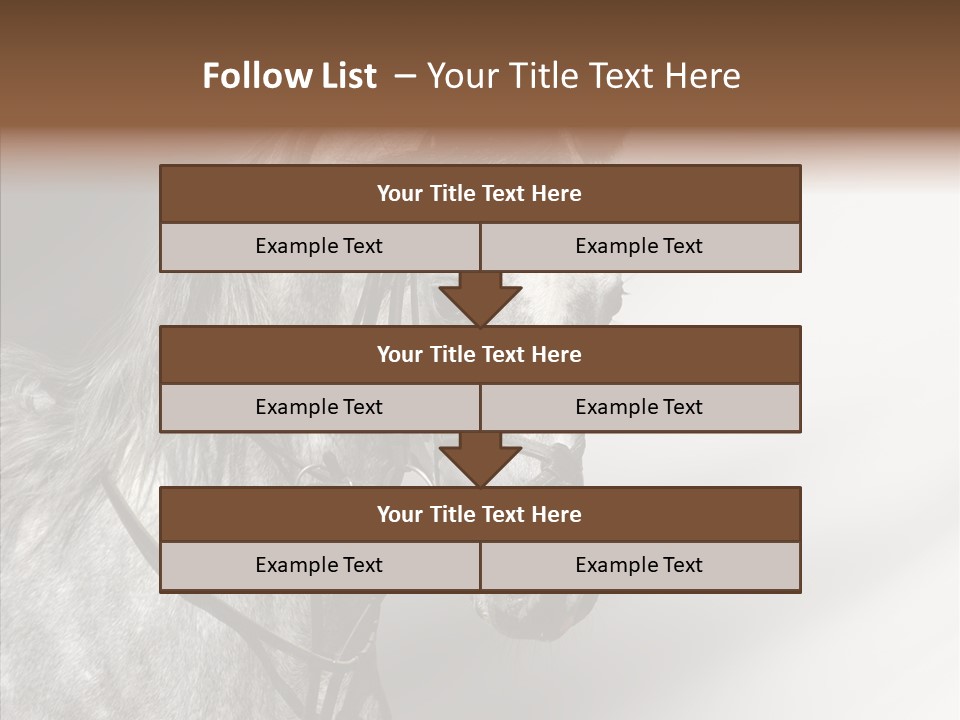 Stallion Active Horse PowerPoint Template