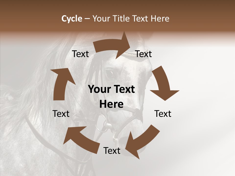 Stallion Active Horse PowerPoint Template