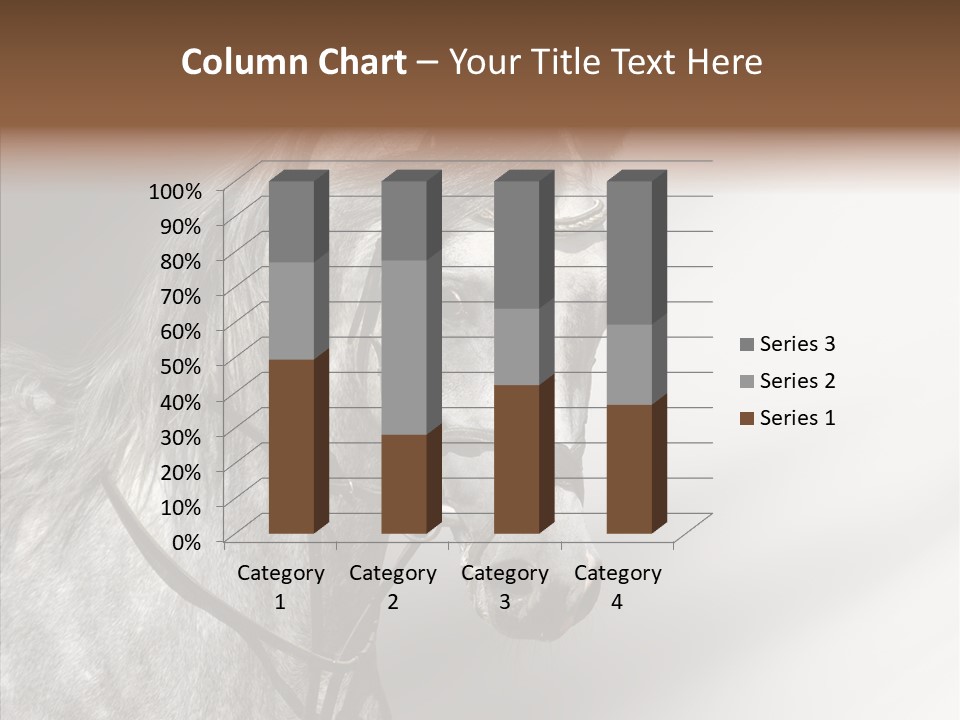 Stallion Active Horse PowerPoint Template