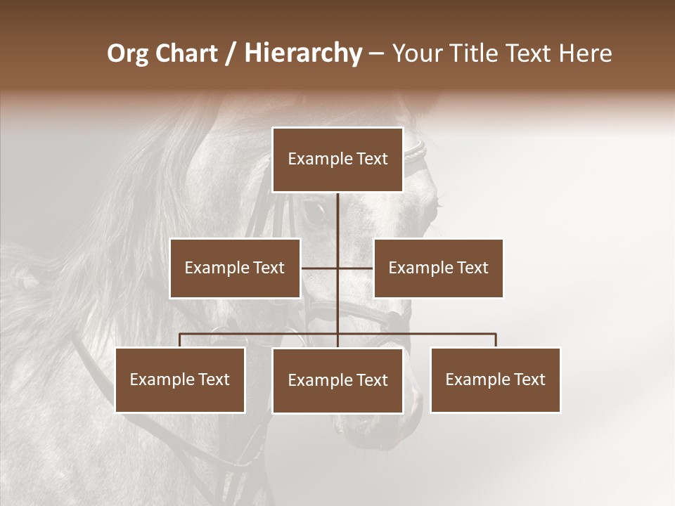 Stallion Active Horse PowerPoint Template