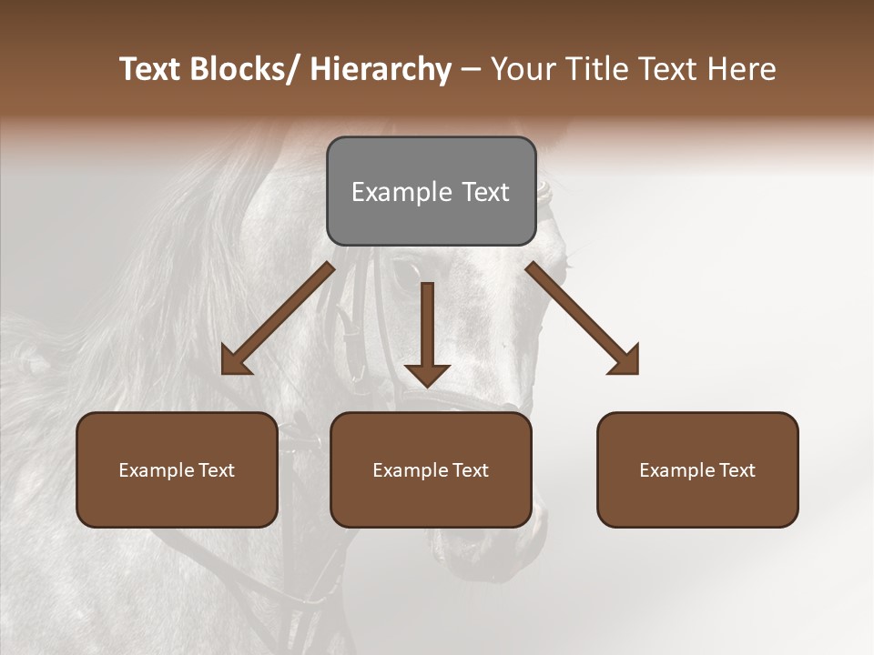 Stallion Active Horse PowerPoint Template