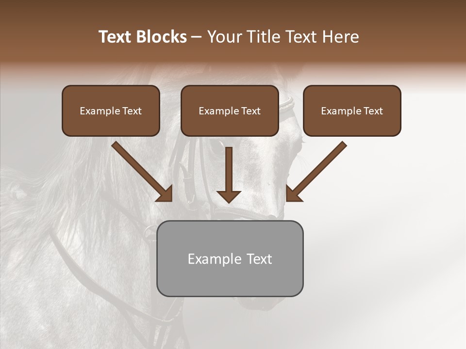 Stallion Active Horse PowerPoint Template