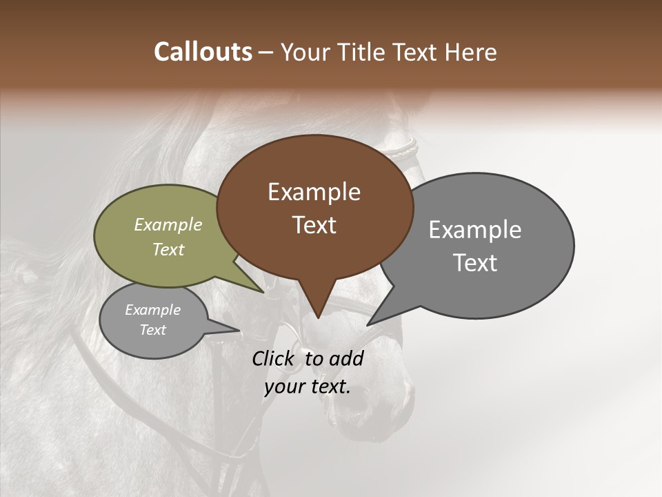 Stallion Active Horse PowerPoint Template