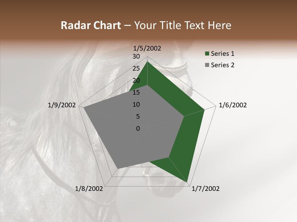 Stallion Active Horse PowerPoint Template