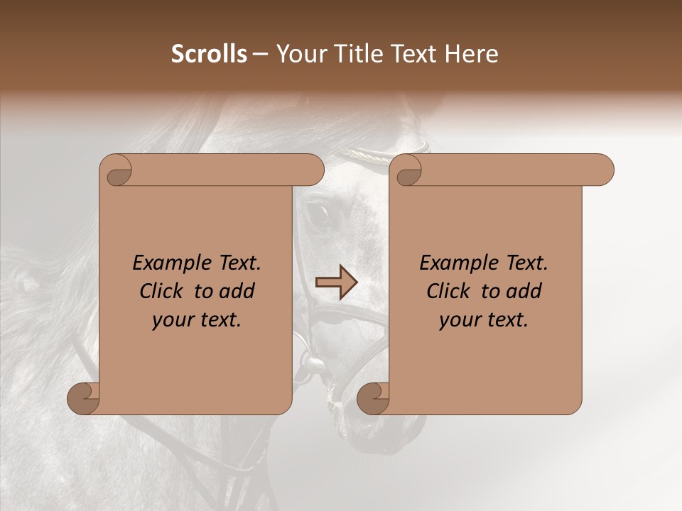 Stallion Active Horse PowerPoint Template