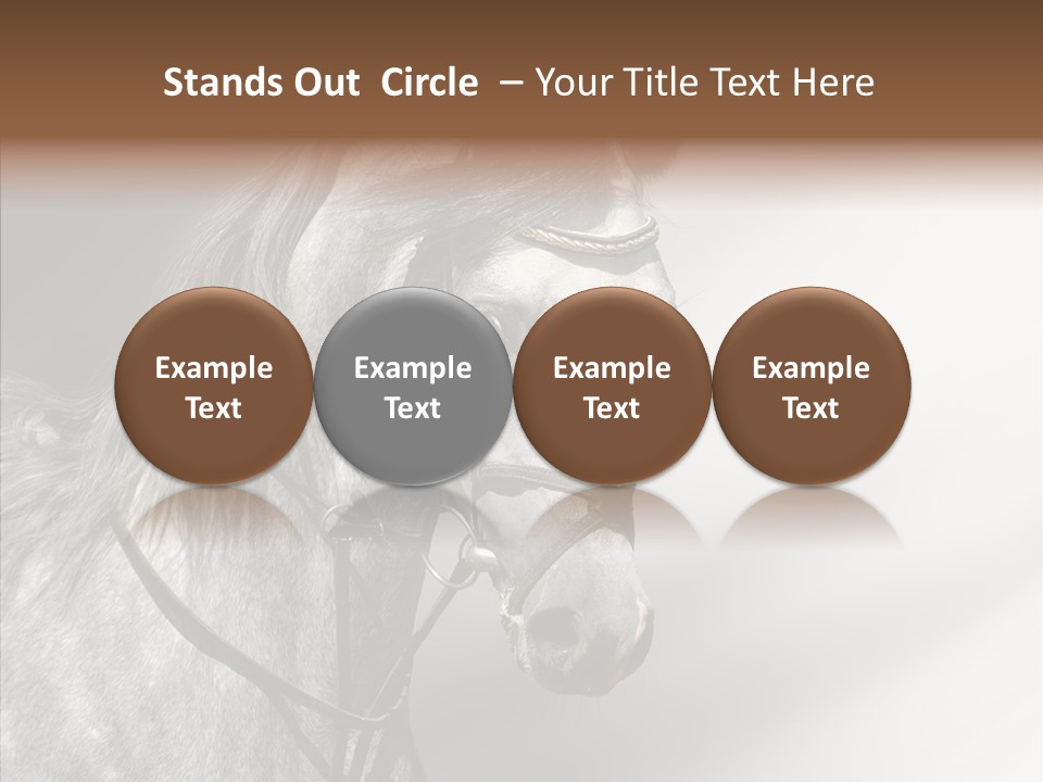 Stallion Active Horse PowerPoint Template
