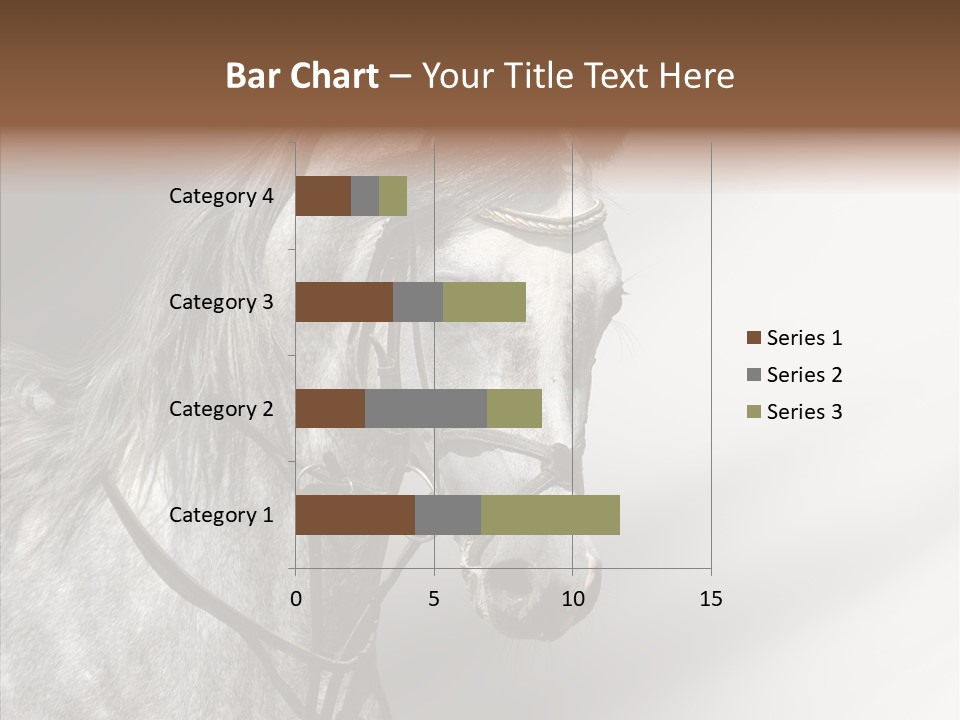 Stallion Active Horse PowerPoint Template