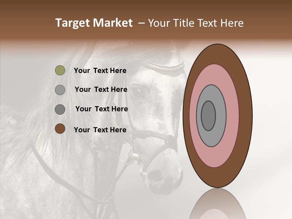 Stallion Active Horse PowerPoint Template
