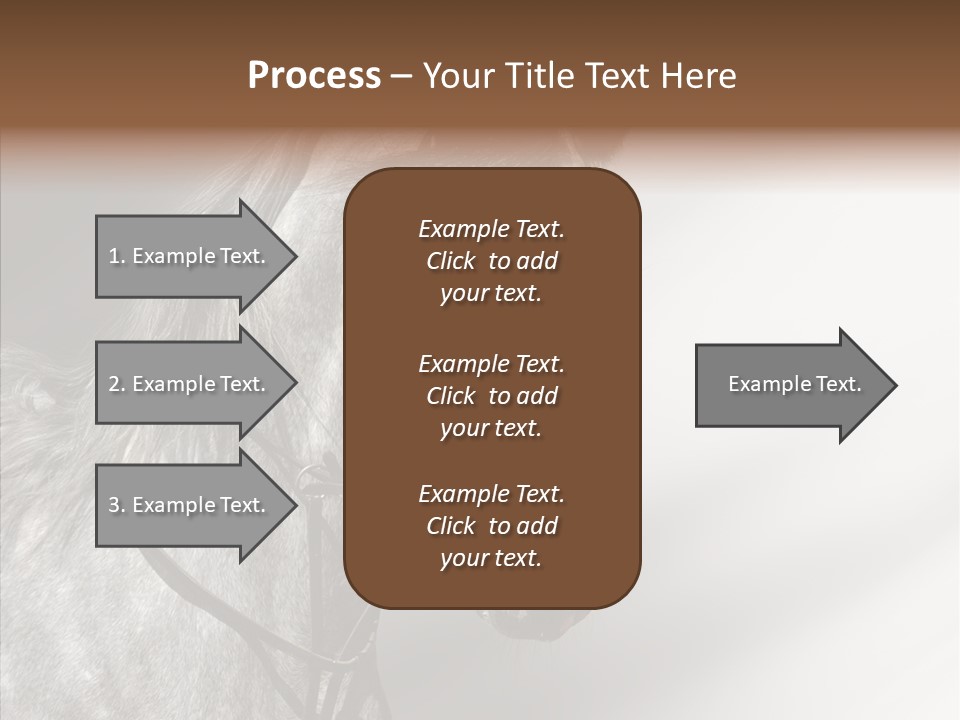 Stallion Active Horse PowerPoint Template