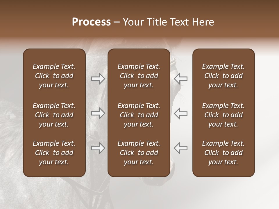 Stallion Active Horse PowerPoint Template