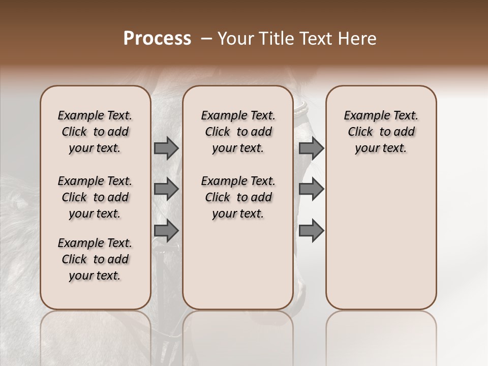Stallion Active Horse PowerPoint Template