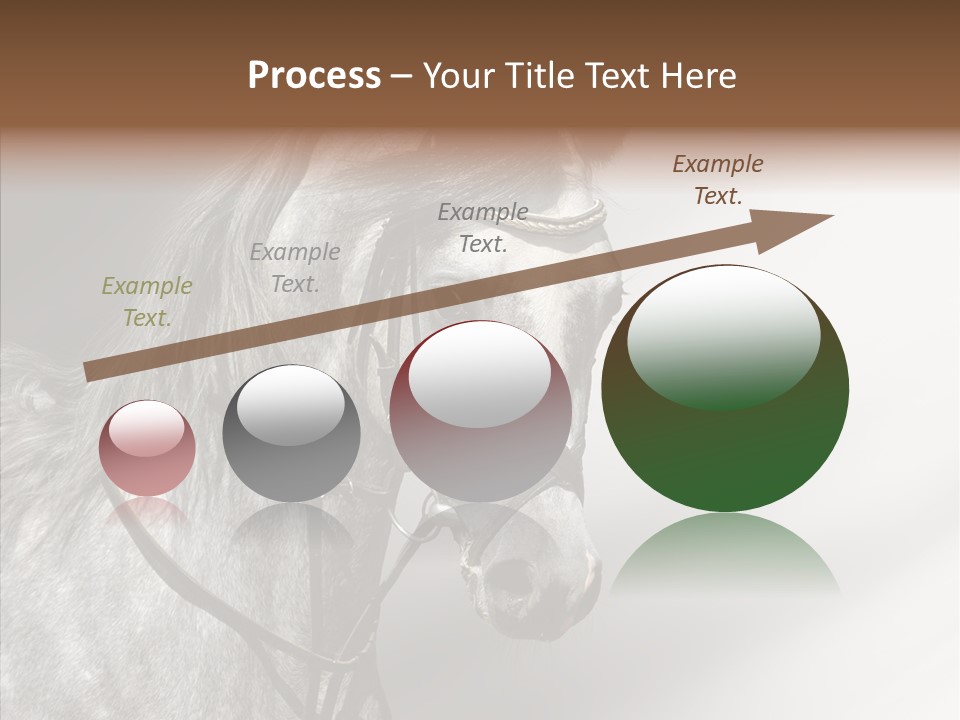 Stallion Active Horse PowerPoint Template