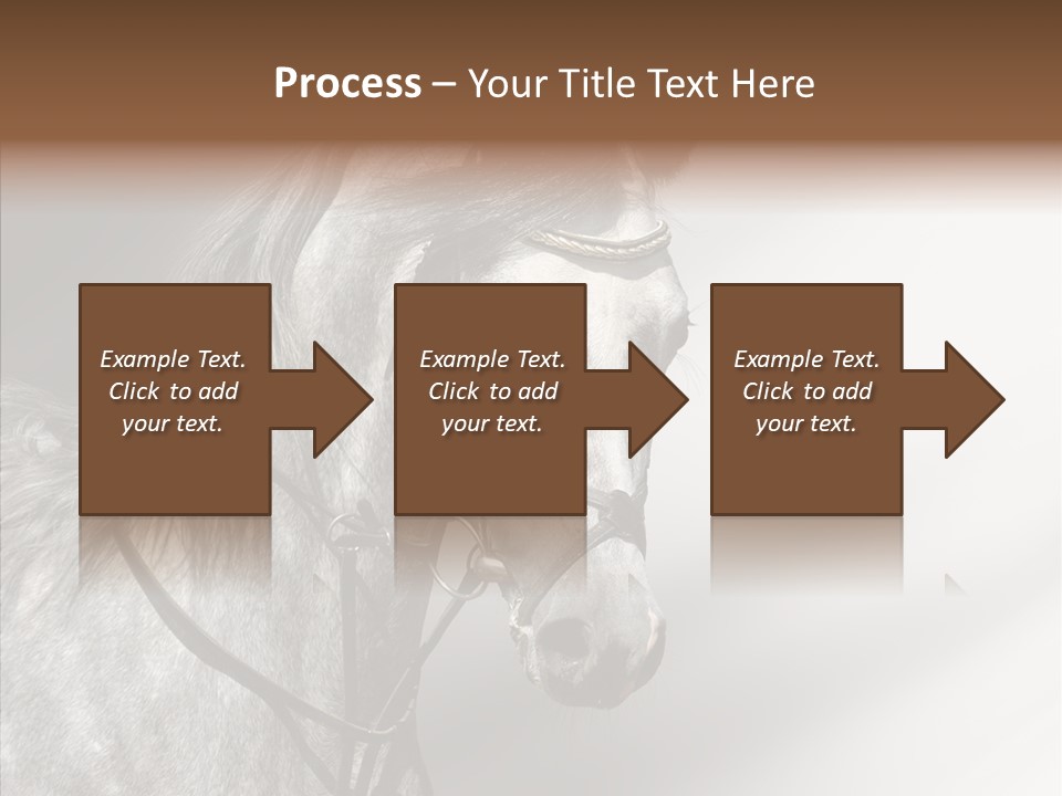Stallion Active Horse PowerPoint Template