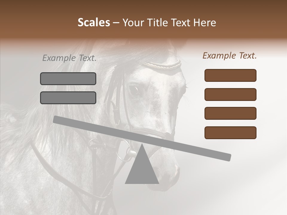 Stallion Active Horse PowerPoint Template