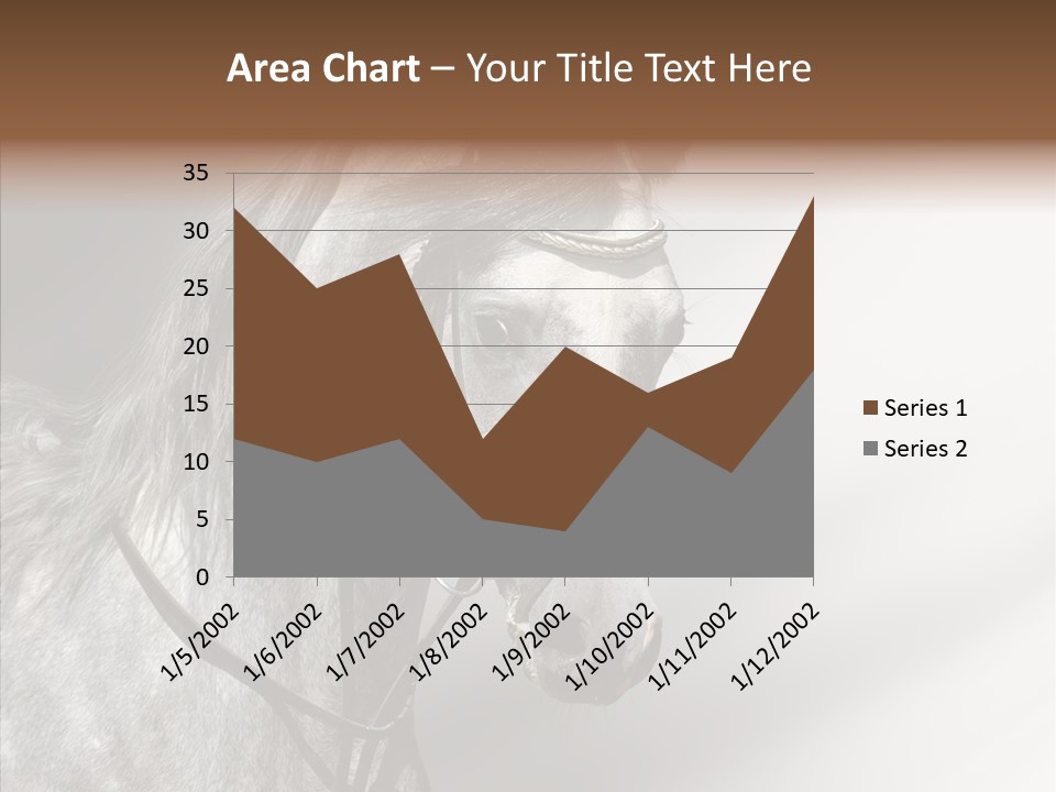 Stallion Active Horse PowerPoint Template