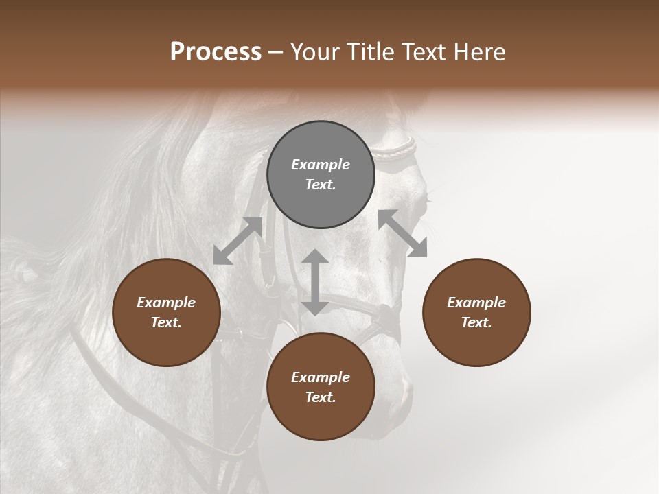Stallion Active Horse PowerPoint Template