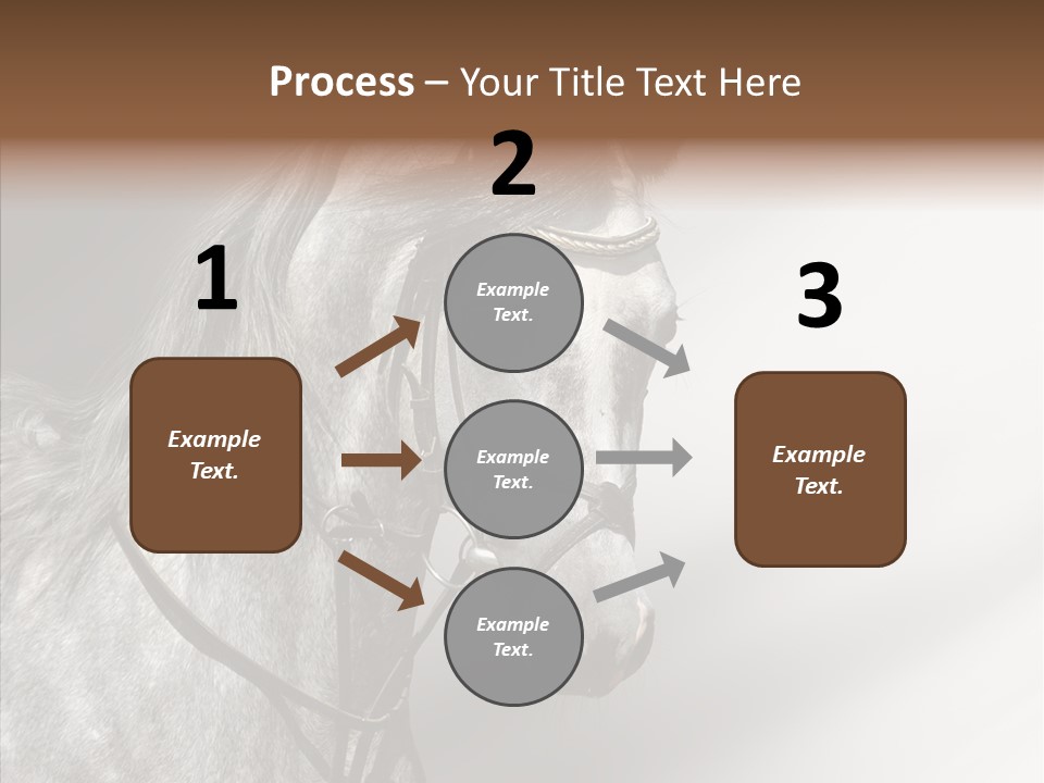 Stallion Active Horse PowerPoint Template