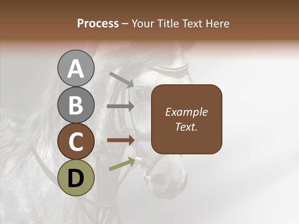 Stallion Active Horse PowerPoint Template