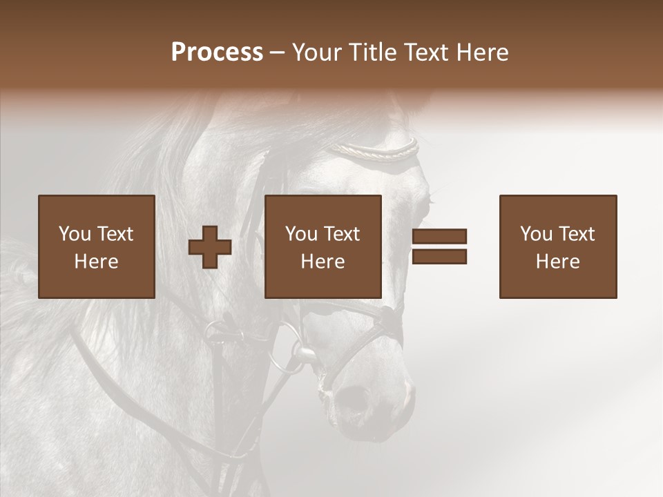 Stallion Active Horse PowerPoint Template
