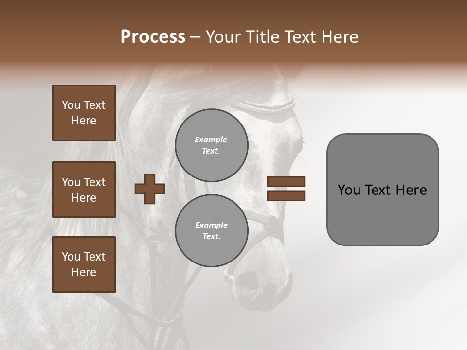Stallion Active Horse PowerPoint Template