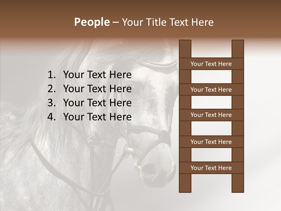 Stallion Active Horse PowerPoint Template