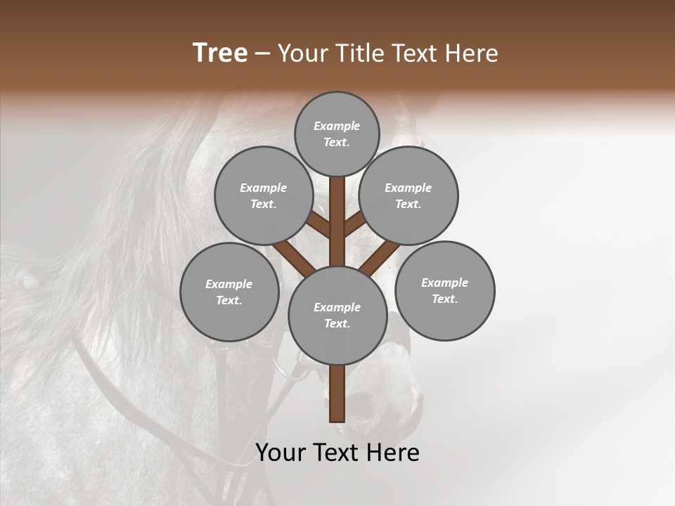 Stallion Active Horse PowerPoint Template