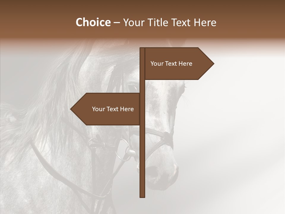 Stallion Active Horse PowerPoint Template