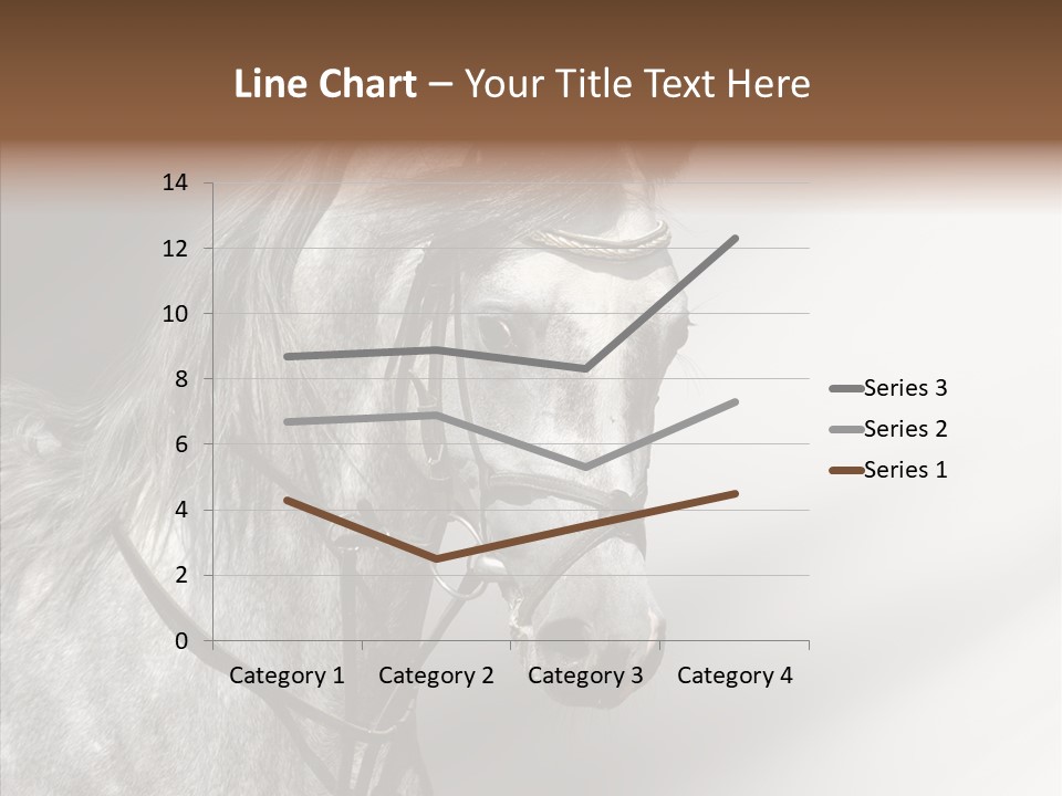 Stallion Active Horse PowerPoint Template