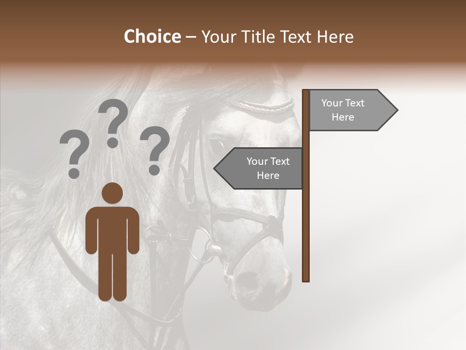 Stallion Active Horse PowerPoint Template