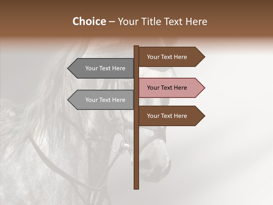 Stallion Active Horse PowerPoint Template