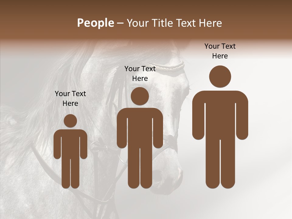 Stallion Active Horse PowerPoint Template