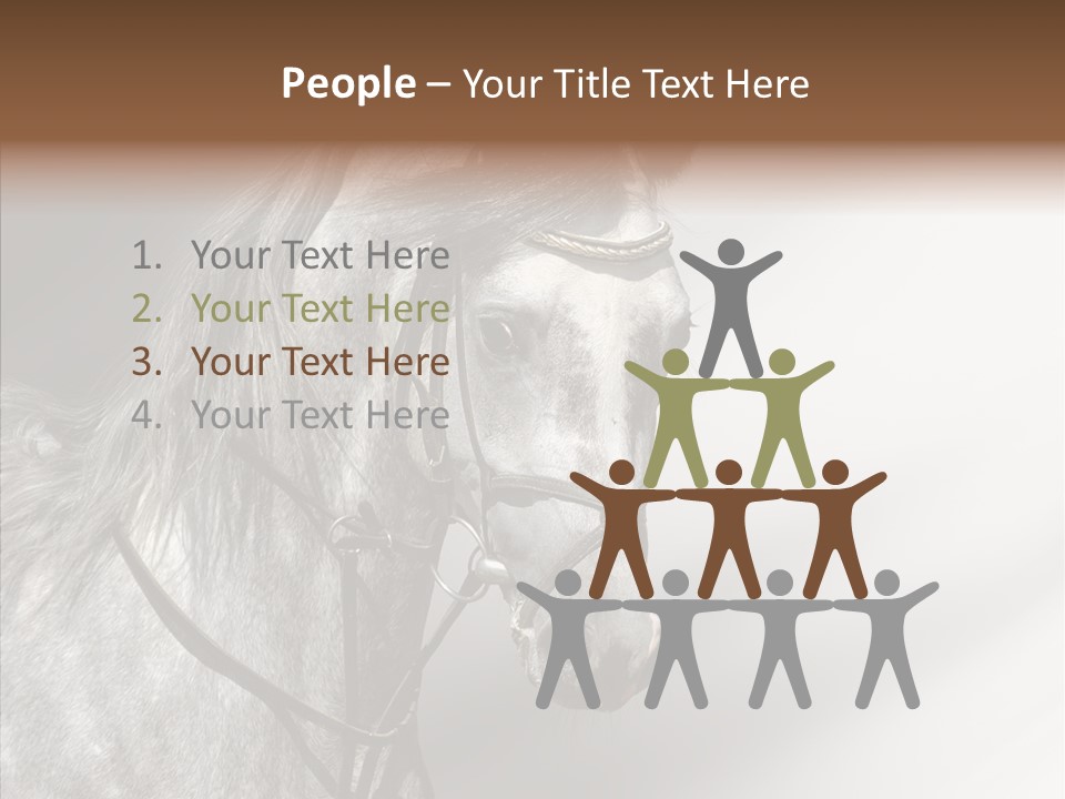 Stallion Active Horse PowerPoint Template