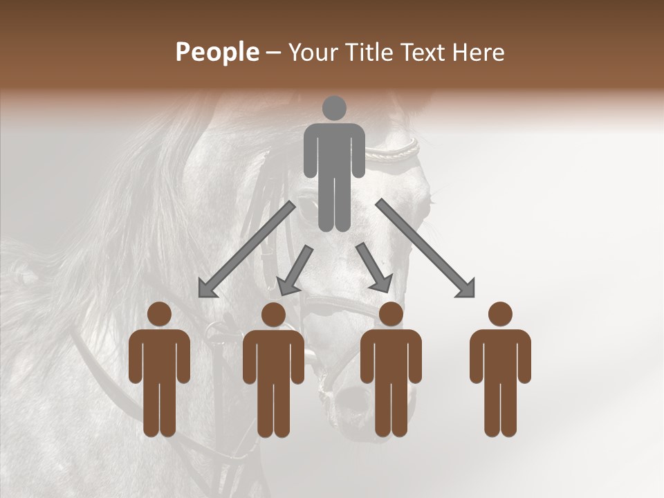 Stallion Active Horse PowerPoint Template