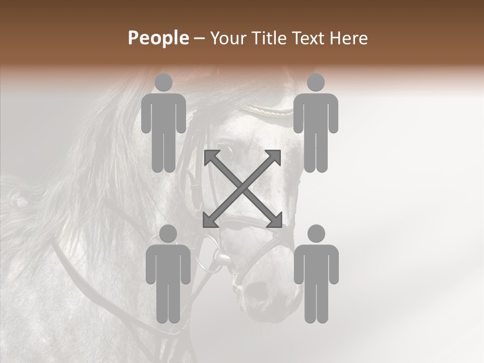 Stallion Active Horse PowerPoint Template