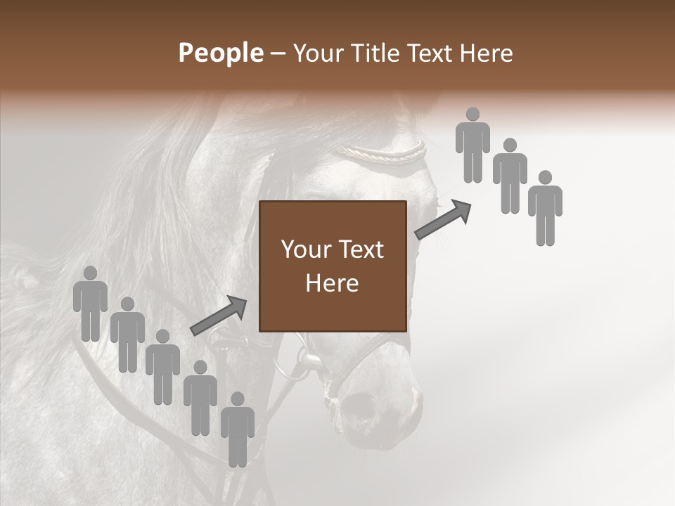 Stallion Active Horse PowerPoint Template