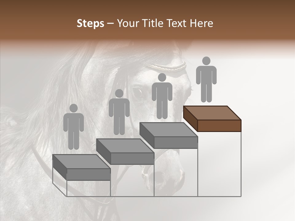 Stallion Active Horse PowerPoint Template